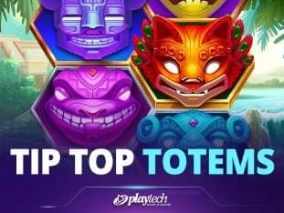 Tip Top Totems icon